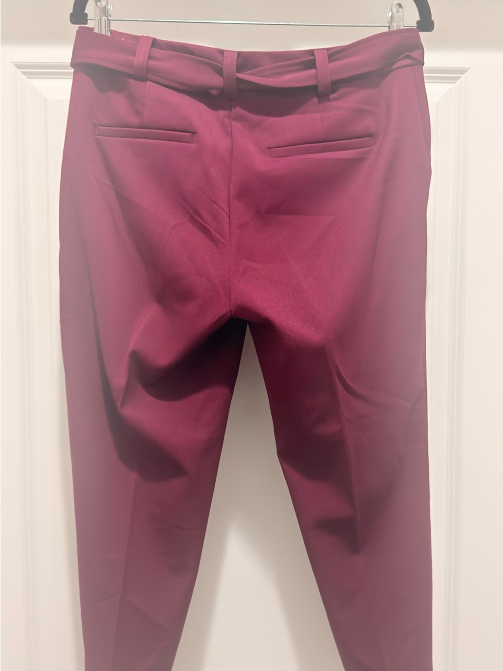 Wine High-Waist Tie-Belt Pants - Picture 2 of 4